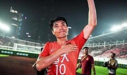 石家庄恒大最新爆料,揭秘最新爆料背后的惊人真相